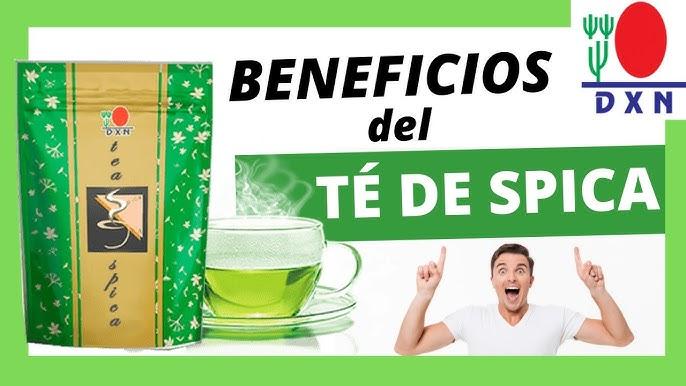Té Spica de DXN: Beneficios, Cómo Ayuda a Bajar de Peso y Guía Completa de Consumo