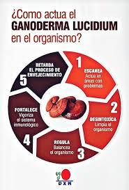 🌿 Beneficios del Ganoderma de DXN: Para Qué Sirve, Cómo Consumirlo y Por Qué Afiliarte Hoy .