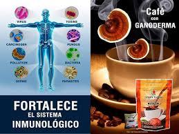🌿 ¿Cómo Actúa el Ganoderma de DXN en el Sistema Inmunológico?
